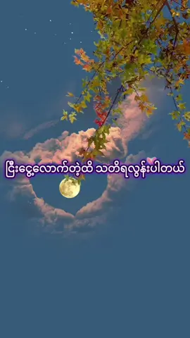 #fbyツ #ပိုင်ဆိုင်ချင်တယ်ဆိုကိုတိုင်ပျိုးထားပေါ့ #fypppppppppppppp #စာတို #myanmartiktok🇲🇲🇲🇲 