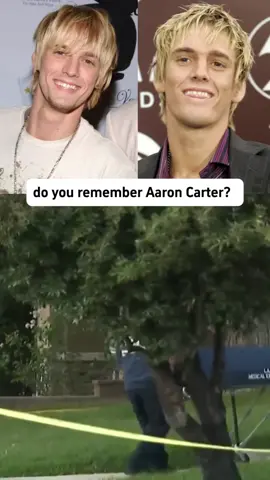 Aaron Carter rose to fame with 