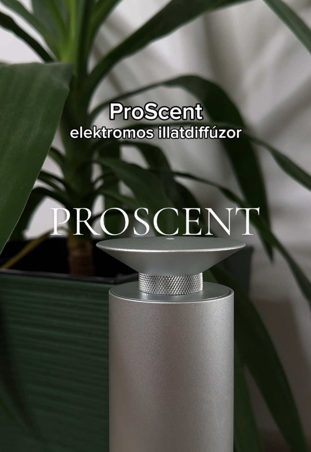 Fedezd fel pálcás és elektromos illatdiffúzorainkat a shopban! ✨ #naudi #naudihungary #prémium #diffúzor #luxus 