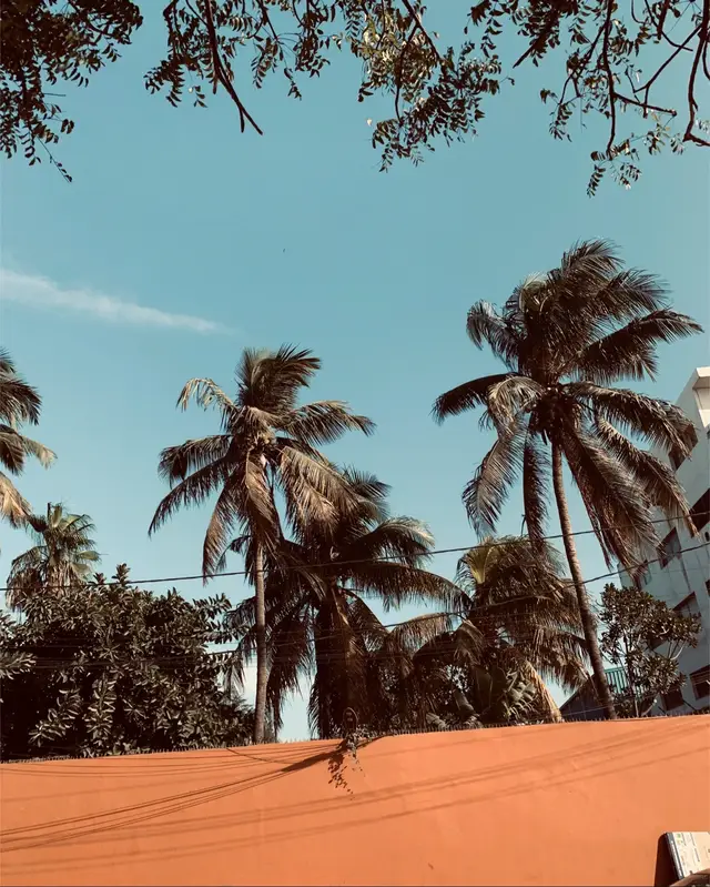 #tiktoksenegal🇸🇳 #pourtoiii #foruyou #challengesenegal #viral  | Can’t get enough of this challenge! It’s amazing to see the creativity and energy in the posts coming from Senegal. Anyone else loving these trends? @Ashs The Best 🪐