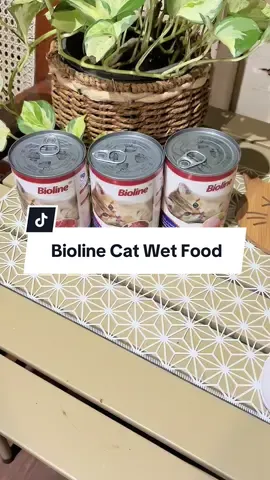 Zorro trying Bioline!🐾#cats #catwetfood #catfood #biolinecatwetfood #catfoodrecommendation 