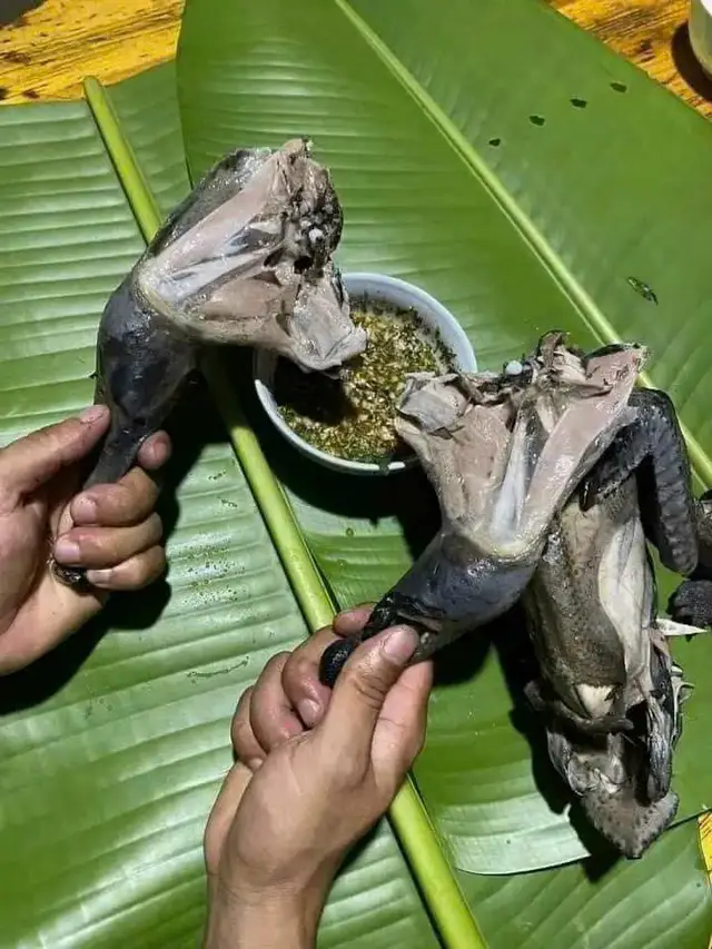 Ai chưa ăn gà này thì nên thử vì thịt nó ngon hơn gà ta rặc 🐓 GÀ ĐEN H'MONG : thịt dai ngon, ngọt thịt  Gà này thịt ngon ngọt và đặc biệt hơn các loại gà khác ở chỗ không bao giờ bị tanh khi để nguội. 💰 140k / 1kg ( em bao giá bán lẻ rẻ nhất, em cho mấy chị đi dọa giá rồi quay lại em mua cũng được ) Gà đen HMông là đặc sản của núi rừng Tây Bắc. Khi thưởng thức loại gà đen này, bạn sẽ cảm nhận hương vị thơm ngon của giống gà rừng tự nhiên. ☎️ 0908.851.382