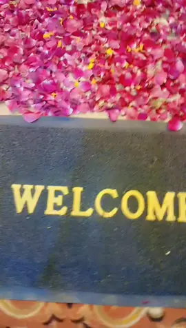 welcome back to home 