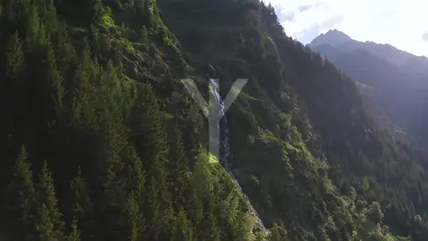 anti deforestation action | edit | 141 #beautiful #earth #nature #savenature #ᛉ #141 