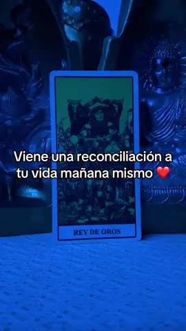 Mañana tendrás una reconciliación con tu ex pareja ❤️ #tarot #astrosyarcanosdeluz #tarothoy #tarotamor #lecturadecartas 