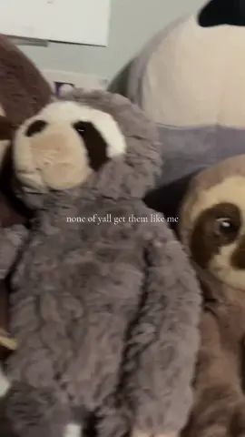 #sloths #sloth #ilovesloths #animals #fyp 