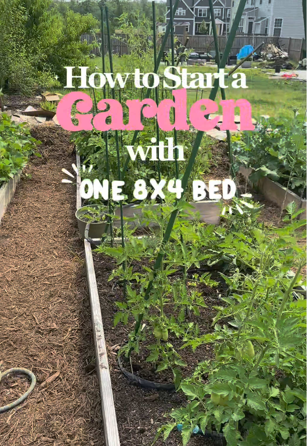 How to start a garden with one 8x4 bed! Starting small is the best way to get started gardening. I included a garden bed layout I would use if I had just one bed. #gardentips #gardentok #growyourownfood #raisedbedgarden #vegetablegarden 