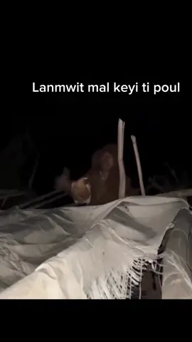 #CapCut 😹