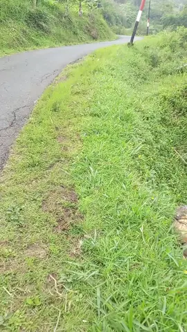 menikmati suasana di pesawahan blok ci Pahoman desa baru dua kecamatan Malangbong kabupaten Garut utara #fypviral #alampedesaan #tiktok #