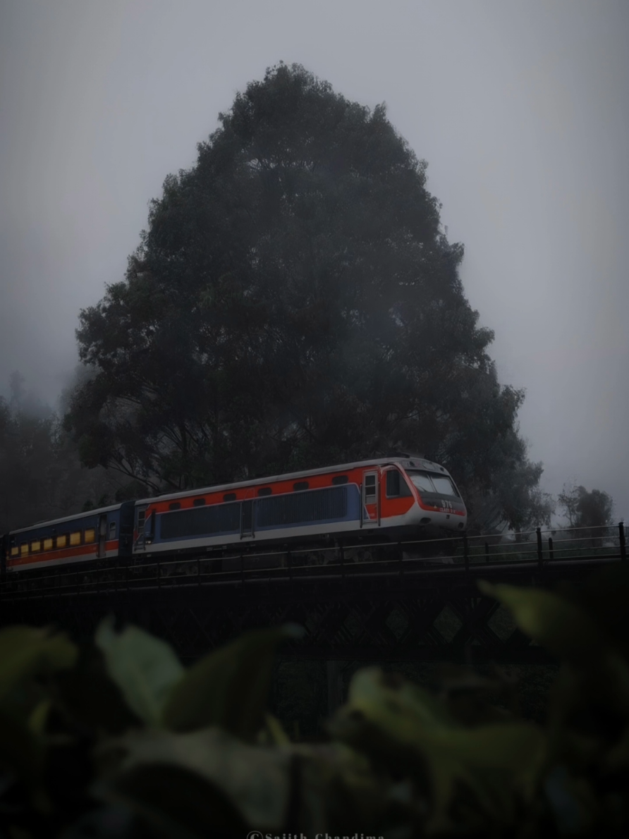 මේක තමා ලංකාවේ සීතලම Train Ride එක 🥶 🚂 🌧️ ❤ සීතල , වැස්ස මැදින් යන කෝච්චි 📷 🚂 🇱🇰  #train #ella #railway #mobileclick #lightroom 