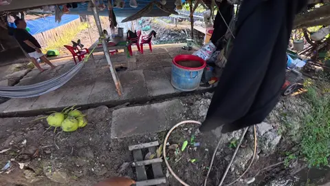 Clip gốc chưa kéo màu trên action 5Pro anh em thấy sao?#NTNcamera #DJI #xuhuongtiktok #xh #action5pro 
