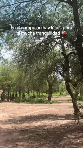 La tranquilidad en su máximo esplendor 😍 #campoargentino #santiagodelestero #fyppppppppppppppppppppppp #viral 