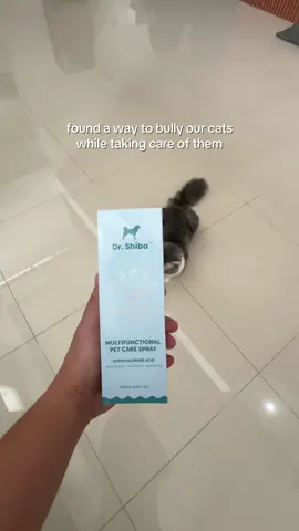 revenge comes in different forms. this one is magical ✨💧 #catsoftiktok #catlover #catlife #forcats #petcare 