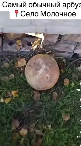 #рекомендации 