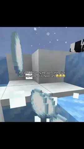 #minecrafter #minecraftbedrock #Minecraft #minecraftmeme #minecraftmemes 