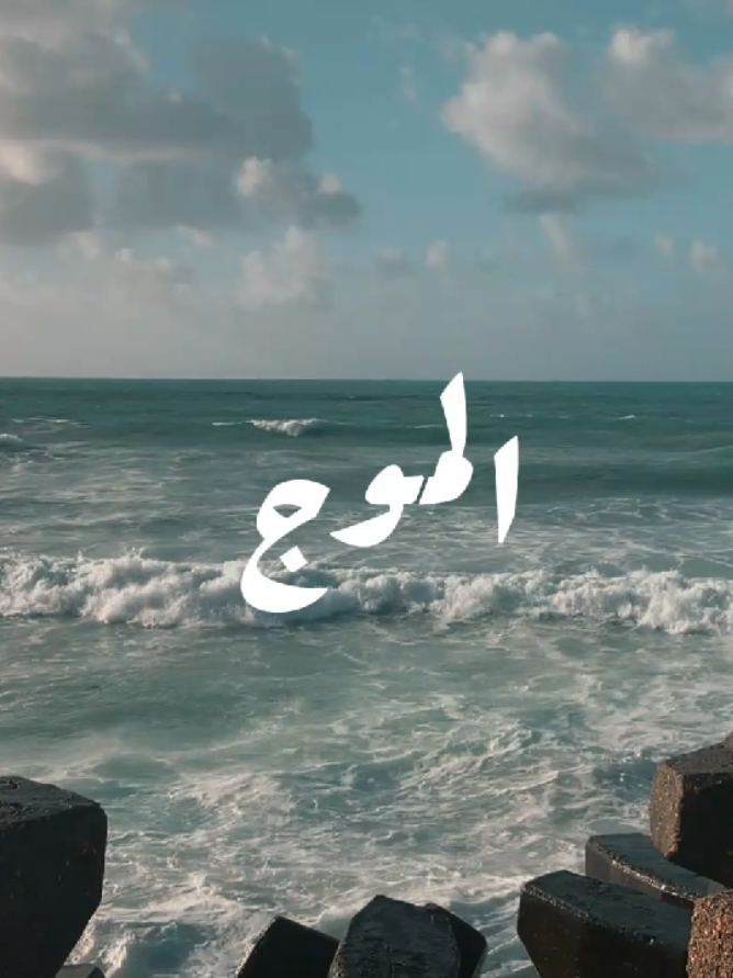 #fyp #alexandria #مشروع_ليلى #edit #fyppppppppppppppppppppppp 