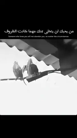 #الشعب_الصيني_ماله_حل😂😂 
