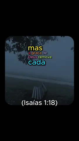 Às vezes você carrega coisas que Deus já te perdoou há muito tempo.🕊️📖#jesus #versiculo #Deus #evangelho #cristão #fé #biblia
