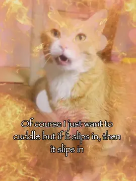 of course baby 😉😉 #rizz #catsoftiktok #relatable #meme #fyp 