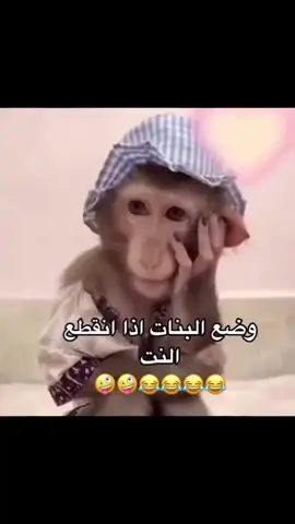 #نكت_مضحكة_جدا #اكسبلورexplore 