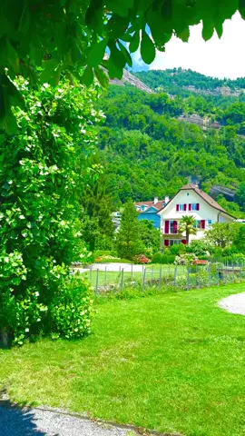 #switzerland #nature #naturelover #triperopa #fyp 