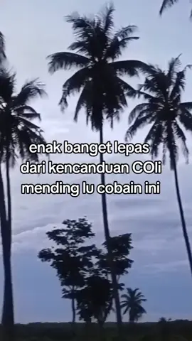 buat loh biar sembuh dari kecanduan PMO #stoppmo🚫 #PMO #fyppppppppppppppppppppppp #obat 