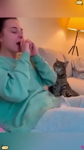 Cats are imitators.#cat #cats #catslovers #catsoftiktok #fyp 
