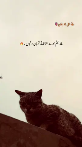 وے ہکے گھر نوں ۳ دروازے لگے او وی ماں پیو واسطے بند ہو گئے ، ذرا سوچو ماں باپ جو ہیں نہ انکی پوری زندگی یہی سوچتے گزر جاتی ہے کہ اولاد کو کیسے سکون کیا کریں اولاد کہ لئے یہ وہ لیکن جب اولاد بڑی ہوتی اسی ماں باپ کے بارے میں کہتی ہے کہ ہمارے ماں باپ نے ہمارے لیئے کیا کرا ہے او بھائی اتنا کہو گا کہو گا کہ ماں باپ تبتی دھوپ میں کما کر گھر کا گزارا چلا کر جتنا کر سکتے ہیں کرتے ہیں میری جان ماں باپ تو پھر ماں باپ جو ہیں اللہ پاک ہر کسی کو اتنی توفیق دے کہ ہر بندہ ماں باپ کہ آخری انکے ساتھ ویسا سلوک کریں جیسا وہ بچپن میں کرتے اللہ پاک ہر کسی کو ہدایت دے اور ہر کسی (میرے ) ماں باپ کو ہمیشہ سلامت اور خوش رکھے آمین ۔🫀🥹💔#fyp #poetrystatus💔 #unfreezemyacount #foryou #poetry 