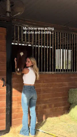 Good thing it wasn’t a hard bite & more playful / curious but he has bit me in the past bc I was in the way of him and my other horse & I couldn’t walk for a couple days 😅 #horses #horsetok #horsesontiktok #equestrian 