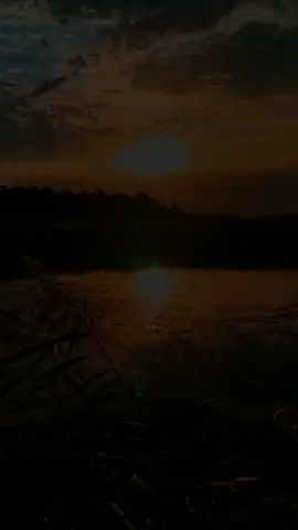 #CapCut 