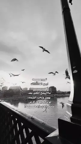 مااسمحححححححح!!! #عيد_الحب #ماجد_المهندس #راشد_الماجد #العراق🇮🇶 #ارجع 