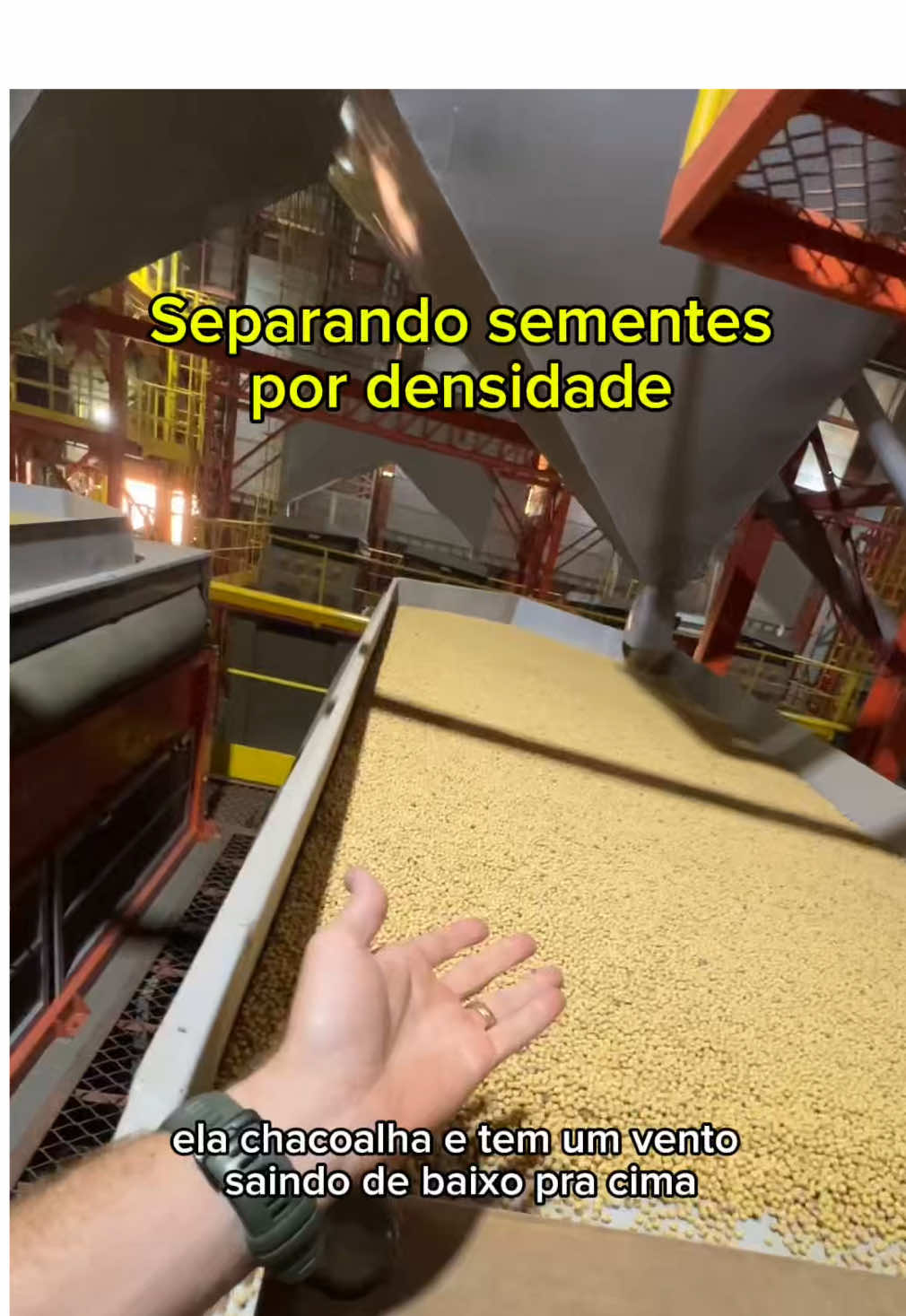 Já viu como funciona o processo de classificação de sementes de soja? Esta é a mesa densimétrica #semente #soja #fazenda #agro 