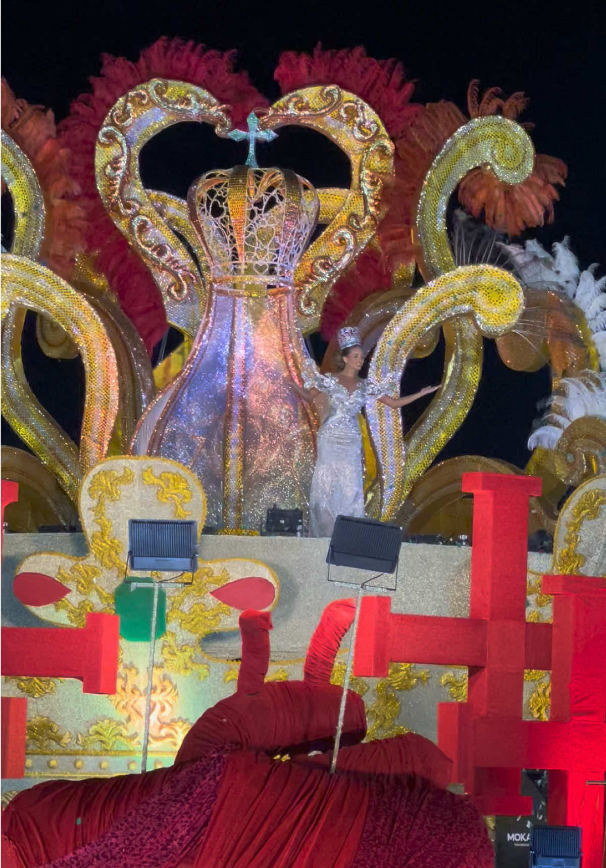 Asi luce el carro de nuestra soberana Camila I en esta noche de Corso Cruceño con su alegoría “El Corazón de Santa Cruz”. Elaborado por Francisco Mercado. #SantaCruz #carnaval #corso #santacruzdelasierra🇳🇬 #reina 