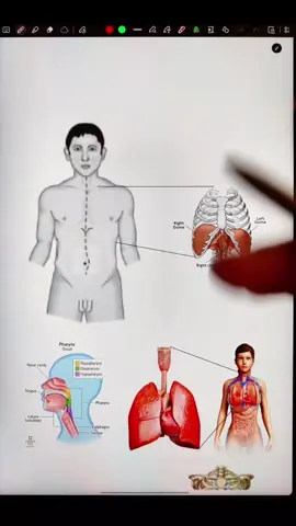 for awareness and educational purpose
