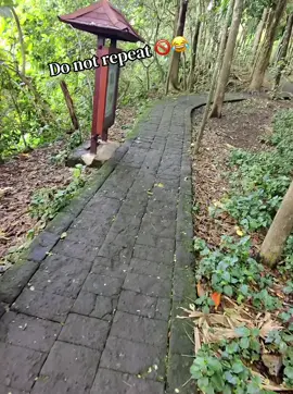 #bali #monkeys #monkeyforestbali #funny #asia 