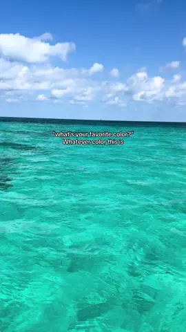 💙💚🐬🐚🤿  #florida #snorkel #dive #ocean #beach 