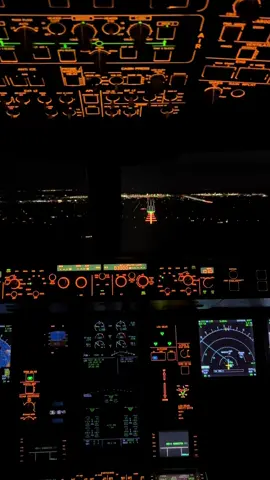 Early morning Landing. #fyp #viral #night #plane 