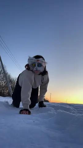 jump on snow! ⛄️ #quadrobics #highjump #theriansoftiktok 