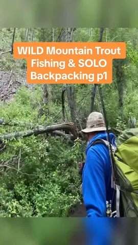 WILD Mountain Trout Fishing & SOLO Backpacking p1 #fishing #fish #fyp #lurefishing 