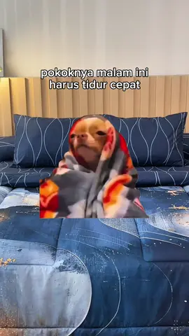 Kesiangan deh bangunnya😭 #meme #memekucing #memetiktok #memecat #memekucinglucu #fyp 