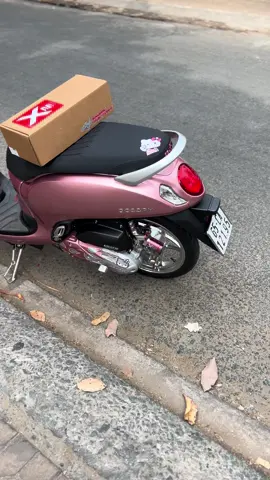 màu hồng liệu có còn hot🦈 #xuhuongtiktok #flop  #scoopy2024 