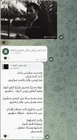 رابط القناة بالبايو #شاكر_التميمي #حسب_مقياس_رختر 