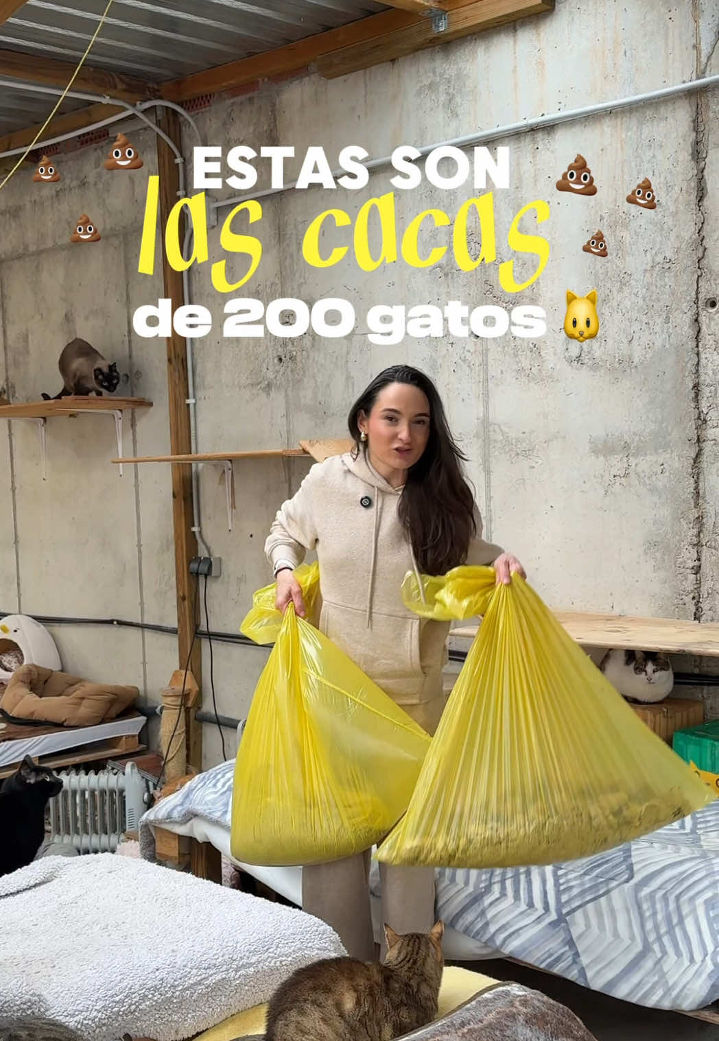 LIMPIANDO ARENEROS DE 200 GATOS 🐱 En la asociacion @elsolardelsgats cuidan de más de 200 gatos todos los días. Y además de comida, veterinarios… necesitan una cantidad ingente de arena para mantener los areneros en condiciones (algo súper importante para la salud y bienestar de los michis) 🙏🏼 Nosotros les hemos hecho una donación de la nuestra para que tengan una buena durante un tiempo, pero si quieres contribuir con ellos de alguna manera para hacerles el trabajo más fácil, te lo agradecerán un montón. 😊 Toda la info para poder echarles una patita está en su perfil  Gracias por darnos altavoz y recursos para poder hacer estas cosas 🙏🏼 Os queremos❤️❤️