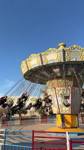 16/2/2026♥️,#majdiland🎡🎢 #majdiland🧸🎡🎢 #foryou #active 