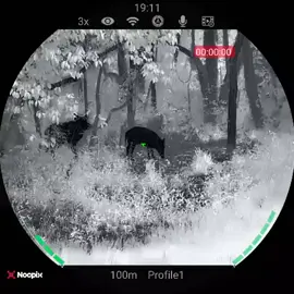Ace H50 Nocpix 🎯🔥 Precisão, estratégia e visão além do alcance#Outdoors #cacadadejavali #nocpix 