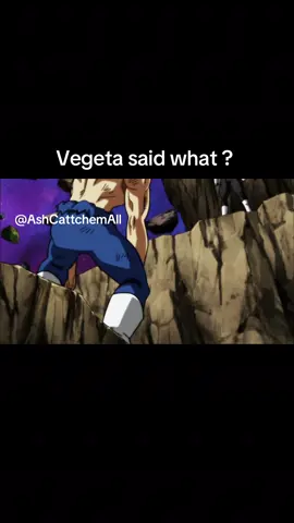 Vegeta Wildlin 