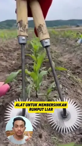 Alat untuk membersihkan rumput liar #fyp #faktaunik #faktamenarik #foryoupage #fypシ゚ 