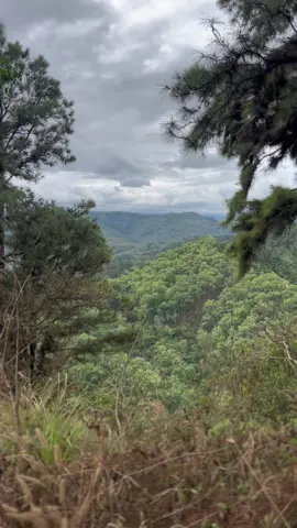 Li’l Baguio - Sitio Tala,Tarlac #nature  #peace #rides #naturetherapy 