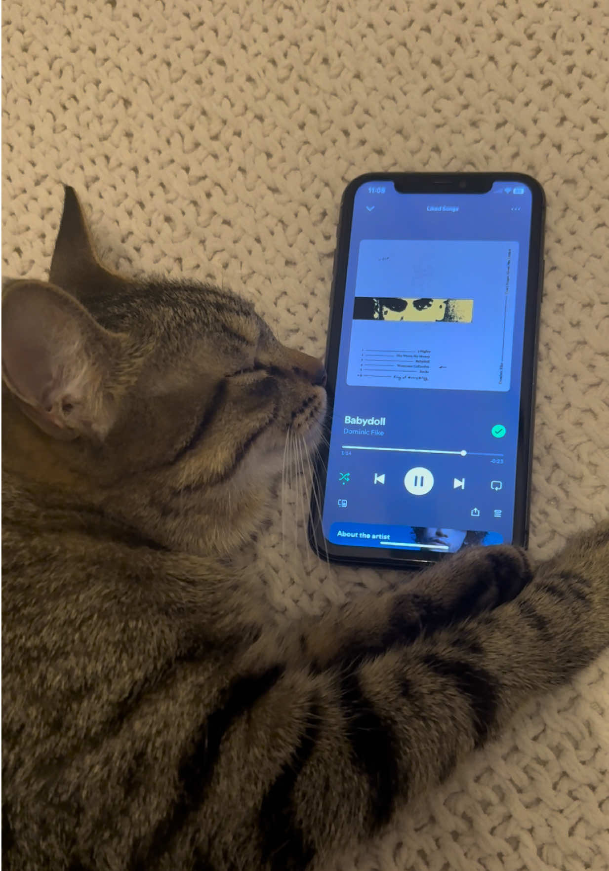 Rory’s newest addition to her playlist 🔥 #dominicfike #babydoll #cat #spotify #music 