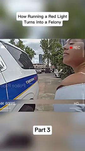 Part 3 #cops #police #bodycam 